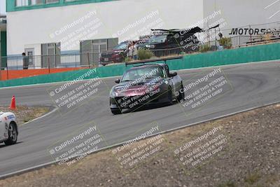 media/May-03-2025-Lucky Dog Racing (Sat) [[206de64b9d]]/Turn 4 B (1150am-130pm)/